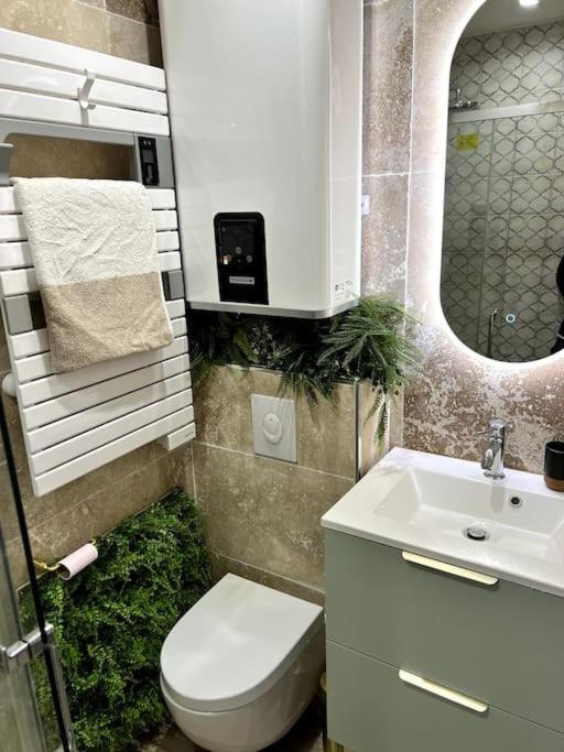 Studio 2 Neuf A 100M Des Plages Et De La Gare Saint-Raphaël Εξωτερικό φωτογραφία